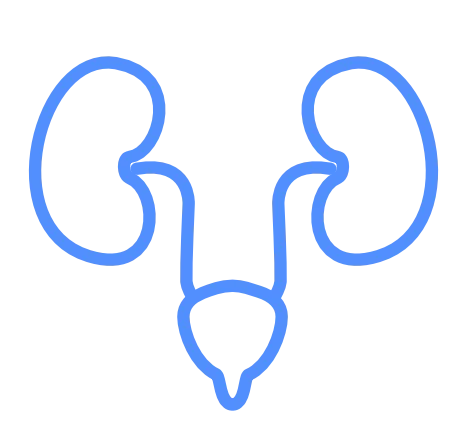 Urology Icon
